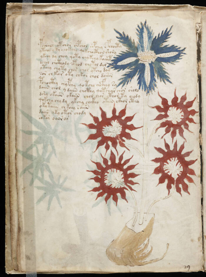 Undeciphered Page In The Voynich Manuscript