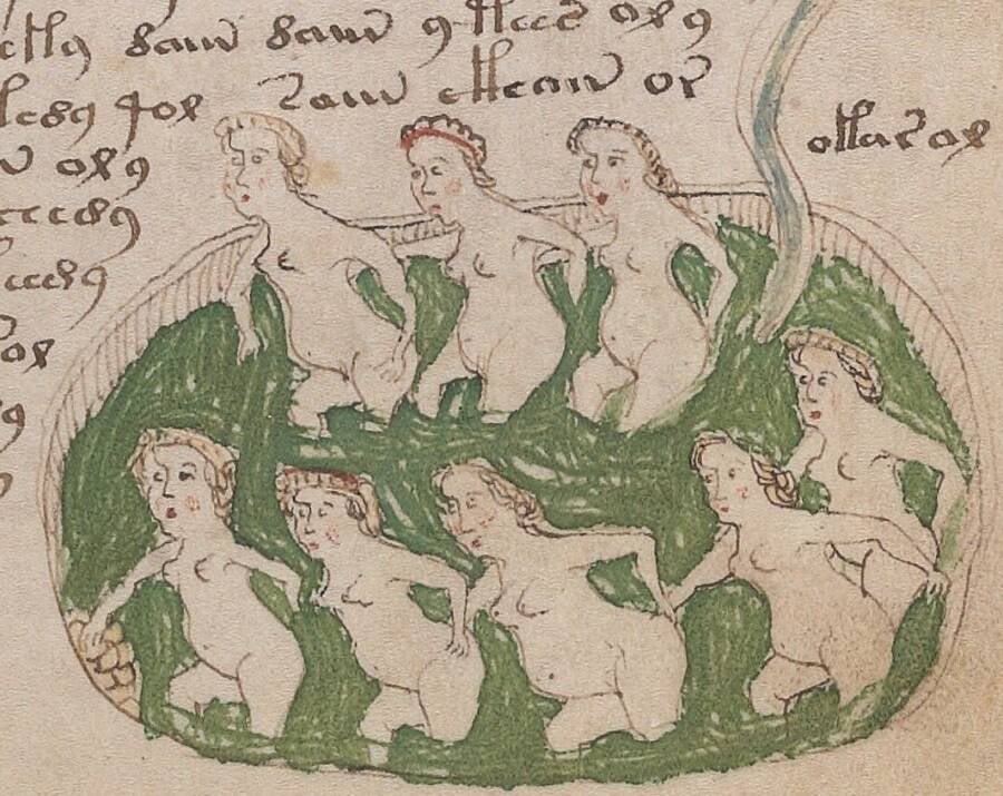 Voynich Manuscript Nymphs
