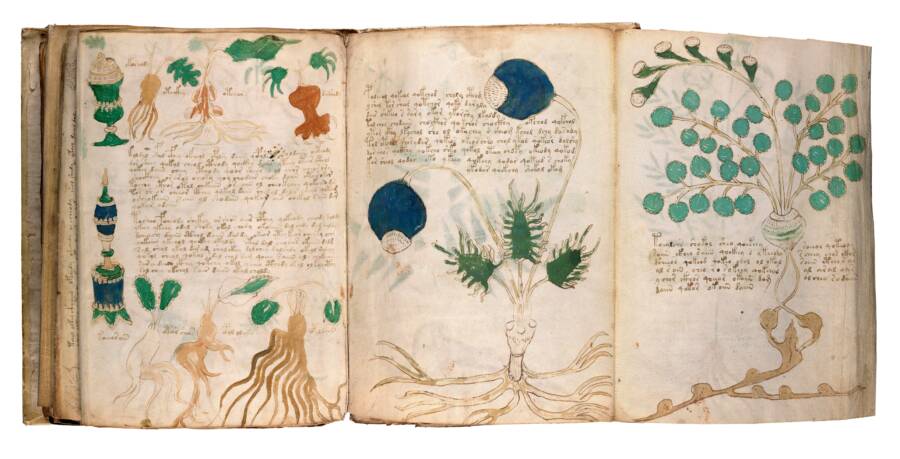 Voynich Manuscript