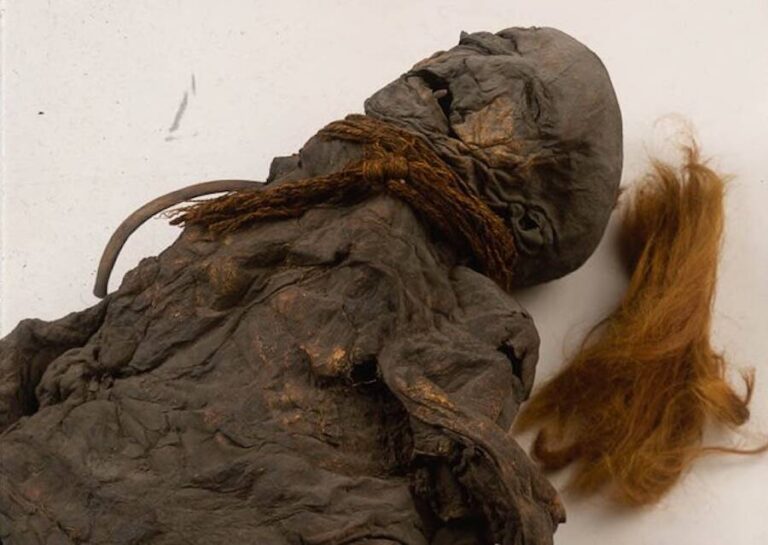 The Yde Girl, Mysterious Bog Body Of The Netherlands