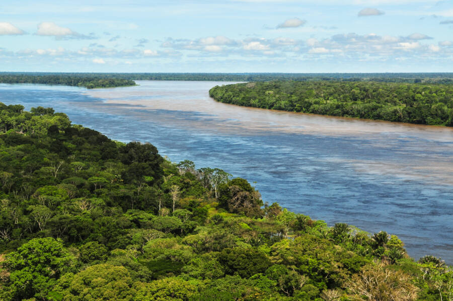Amazon Rainforest And River