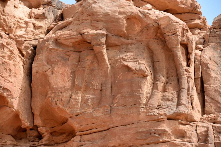 Camel Carvings
