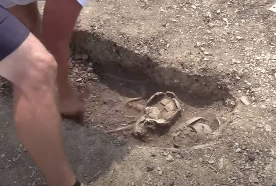 Cluj Napoca Pesquisador e esqueleto
