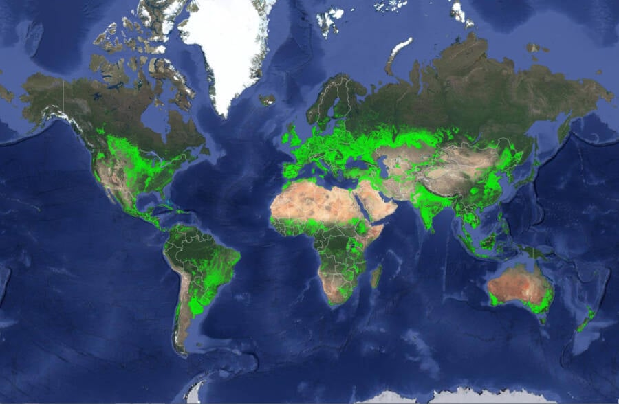 Crop Coverage World Map
