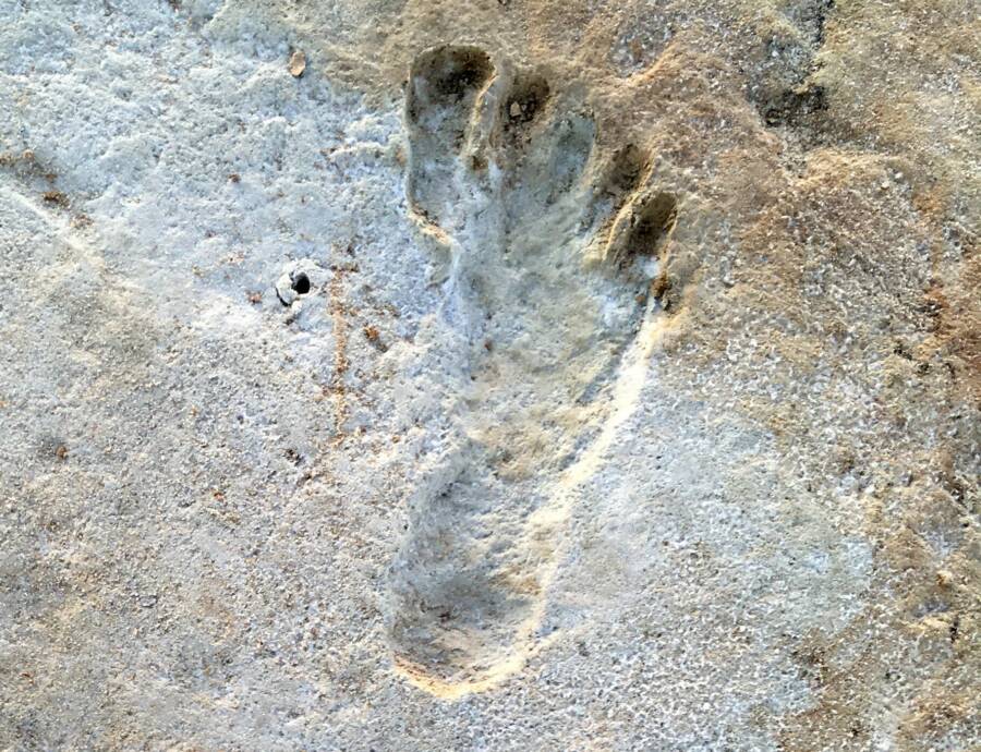 Prehistoric Footprint In New Mexico