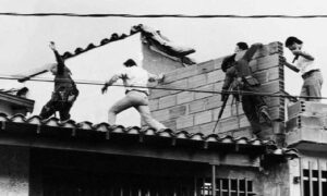 11 REAL LIFE VIGILANTE STORIES OF ORDINARY CITIZENS TAKING JUSTICE INTO THEIR OWN HANDS visual data 6