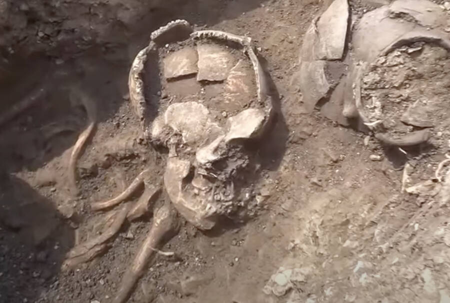 Esqueleto e crânio de Cluj Napoca