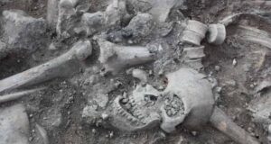 Crusaders Graves Sidon Castle