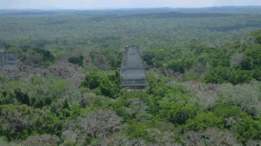 Temple In Tikal