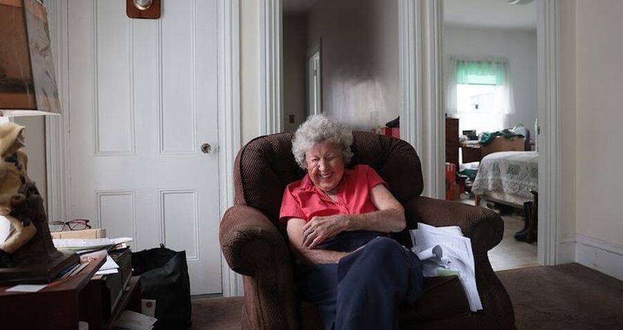 Bed bath beyond christmas trees