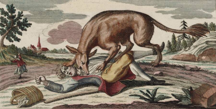 Beast Of Gevaudan Attacks