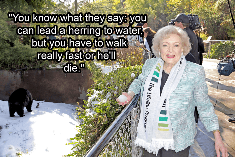 Betty White At The Zoo