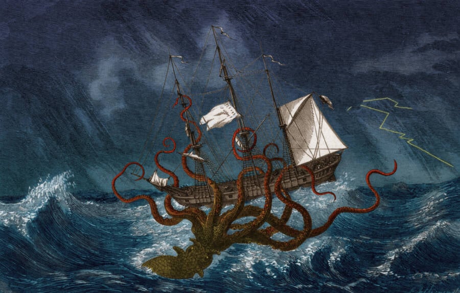 Giant Squid Attacking A Ship
