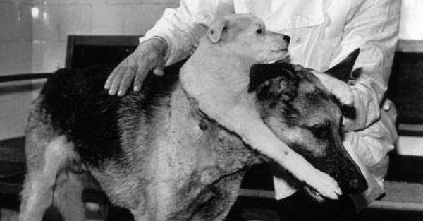 Mad Scientists Featured