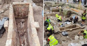 Skeleton And Dig In Bruges