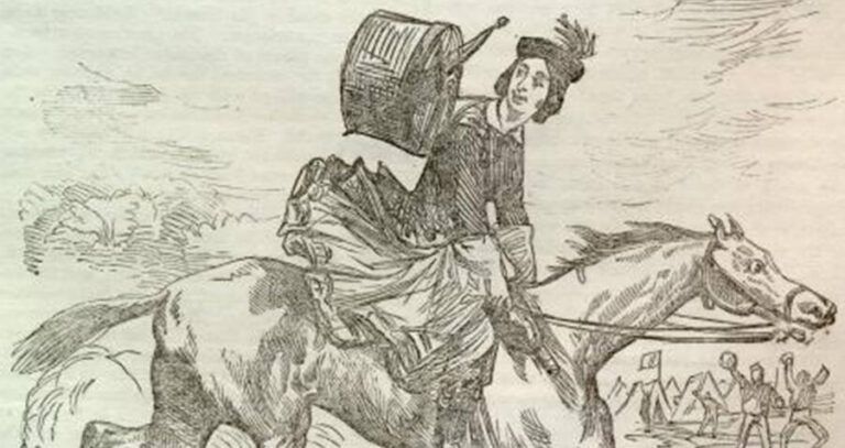 Agent 355 Illustration