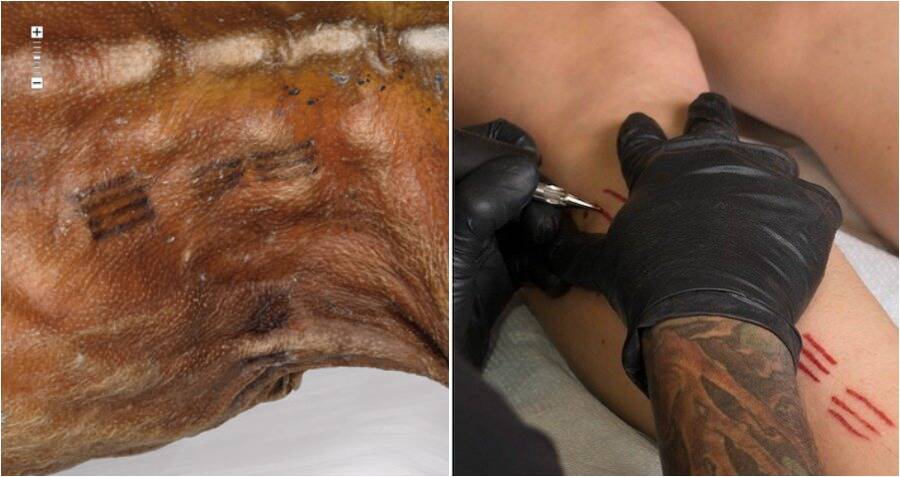 Artist Replicates Ötzi The Icemans Ancient Tattoos Using Her Own Blood