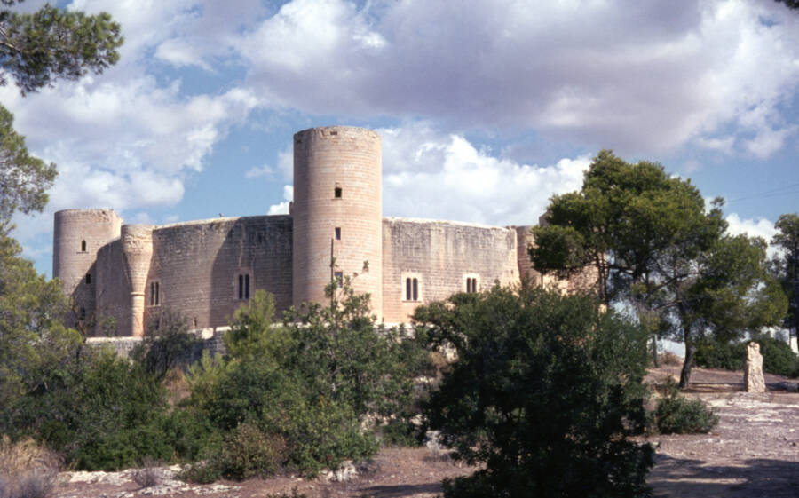 Tree Lined View Of Bellver Castle