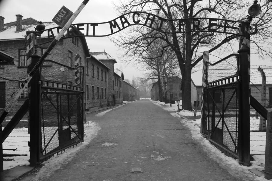 View Of Auschwitz
