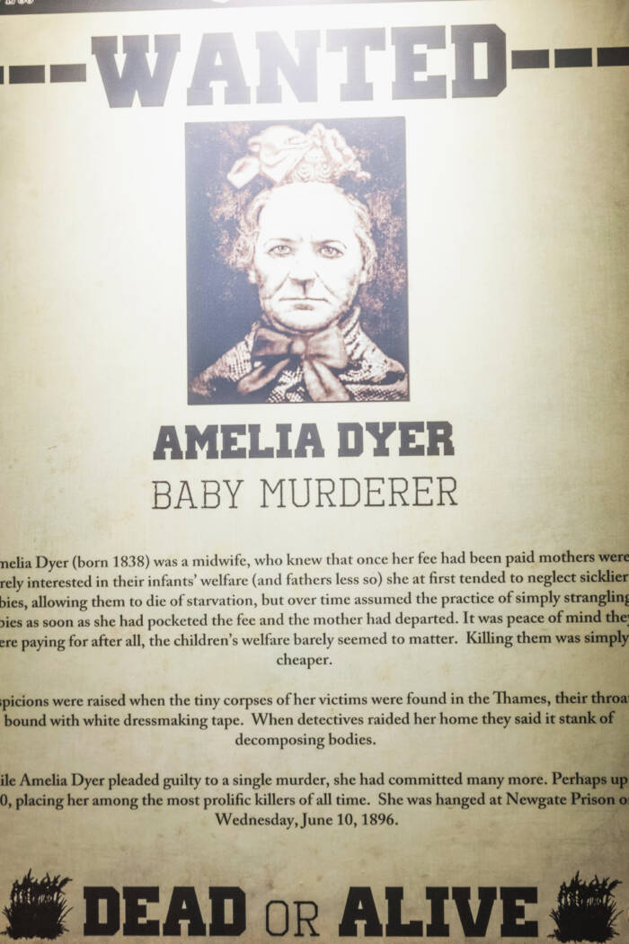 Amelia Dyer Wanted Poster