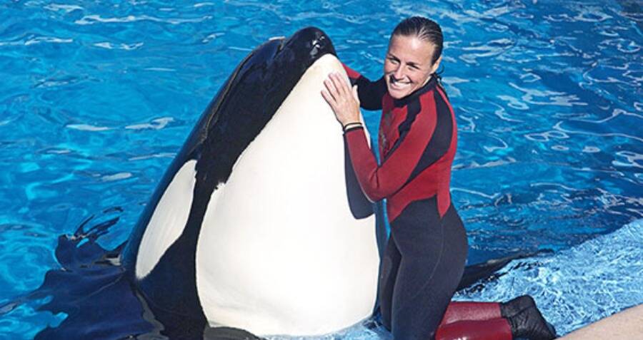 Dawn Brancheau The Seaworld Trainer Killed By A Whale