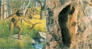 Laetoli Hominin Footprints