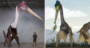 Quetzalcoatlus Model And Illustration Featured