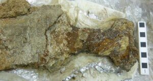 Viking Sword Papa Westray