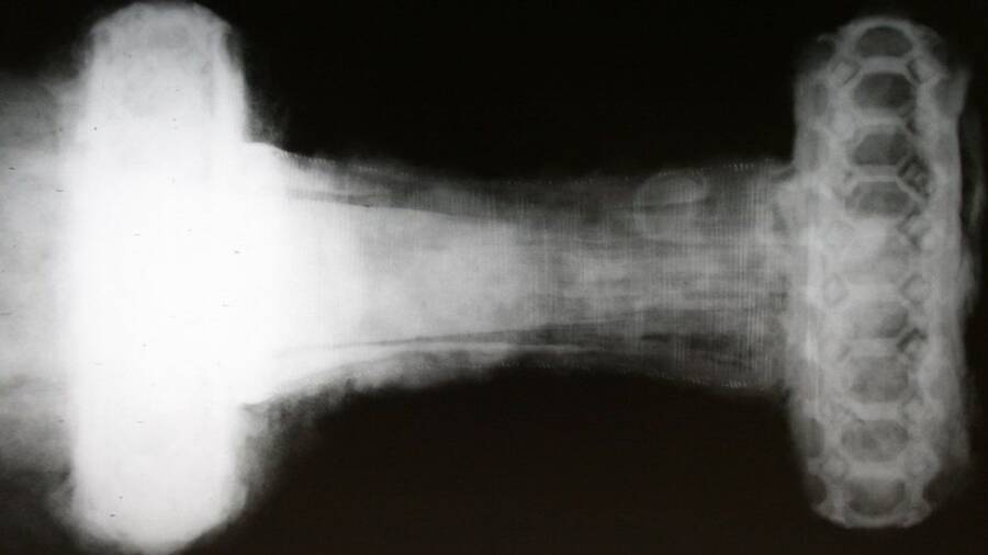 X Ray Of Mayback Sword