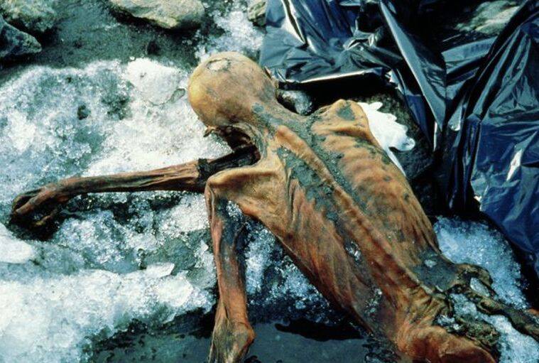 Otzi Facedown In Ice