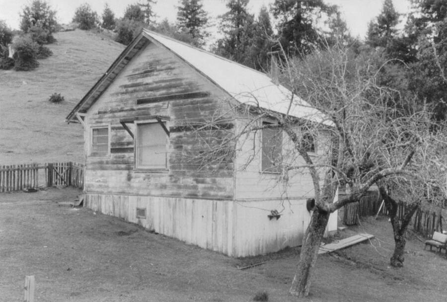 Kenneth Parnell's Cabin