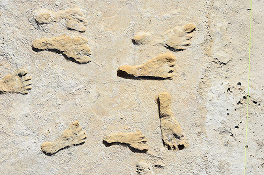 Ancient Footprints From New Mexico