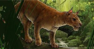 Ancient Saber Toothed Mammal