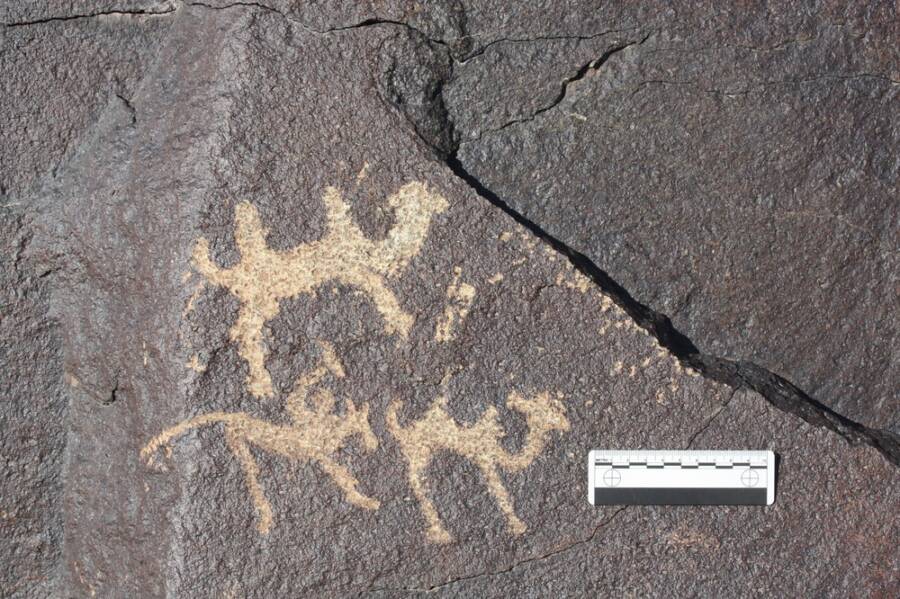 Camel Cave Paintings