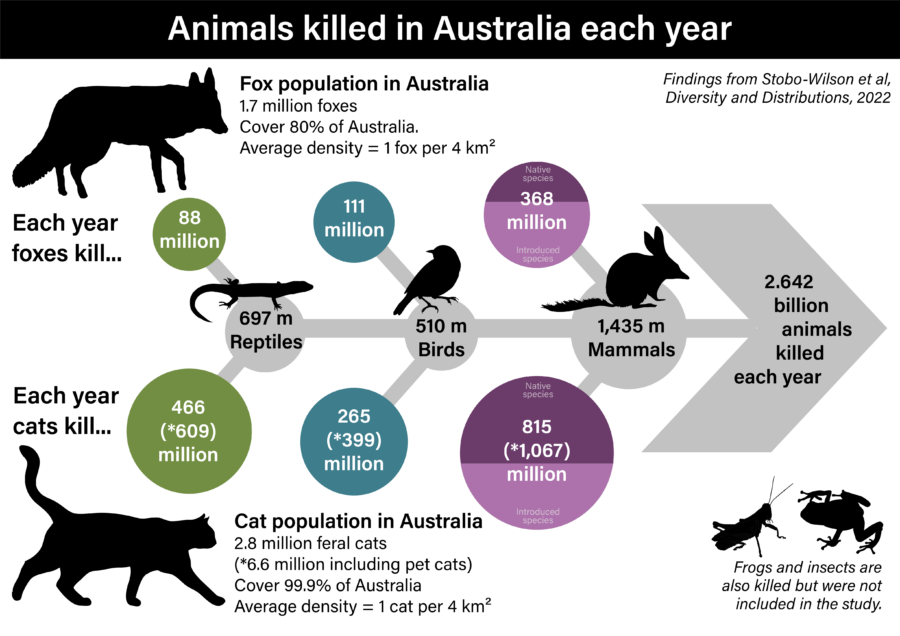 Cats And Foxes In Australia Chart