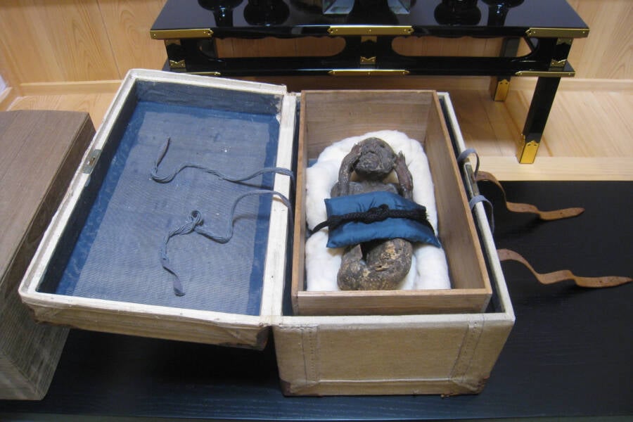 Japanese Mermaid Mummy In Box