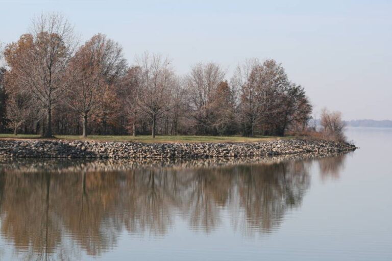 1992 Cold Case Of Missing Mom Solved After Head Found In Illinois Park