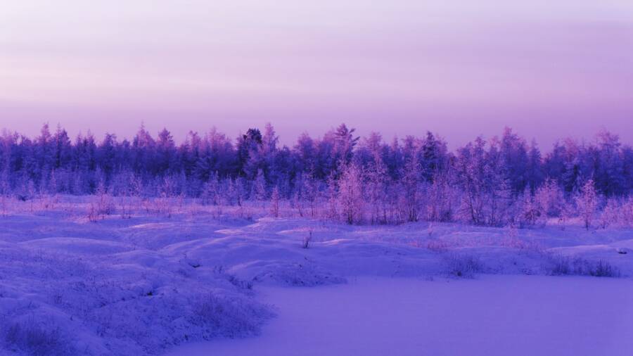 Snowy Purple Landscape Russia