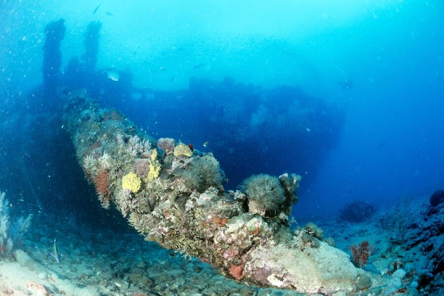 Ss Yongala Shipwreck