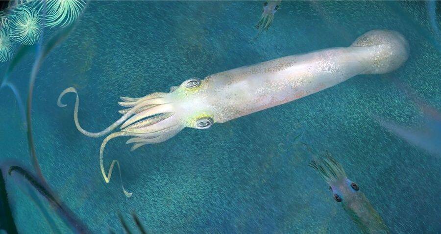 Scientists Discover Octopus Fossil That Predates The Dinosaurs