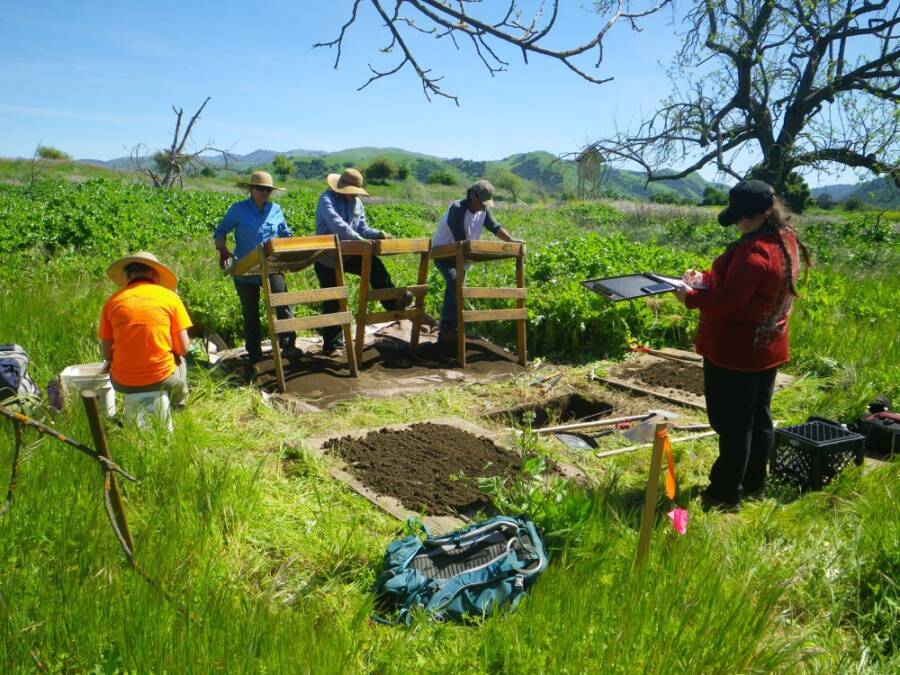 California Excavation Site Of Muwekma Ohlone Tribe Members