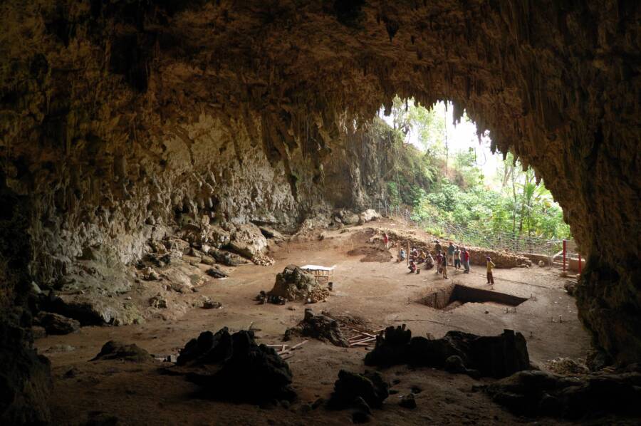 Homo Floresiensis Liang Bua Cave