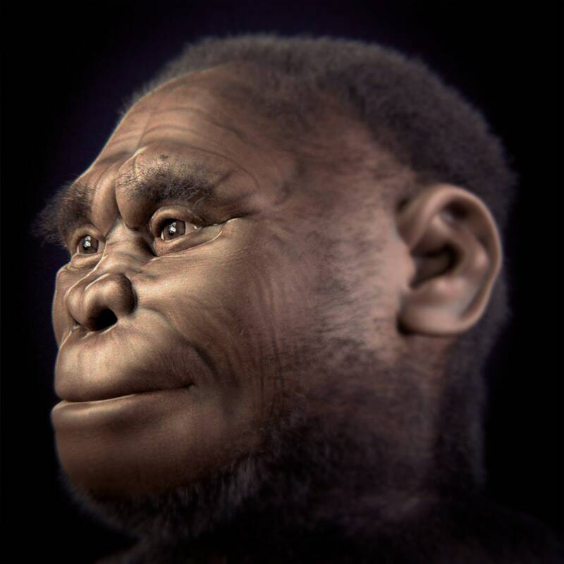 Reconstrucción de Homo floresiensis