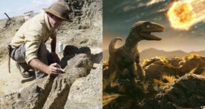 Paleontologist Alongside Dinosaur