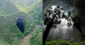 China Sinkhole Forest