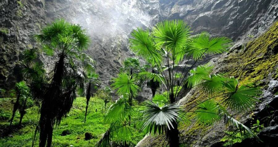 Massive Sinkhole Found In Southern China With A Forest At The Bottom