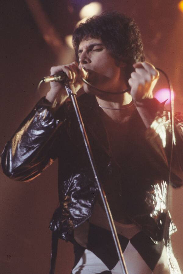 Entra Freddie Mercury