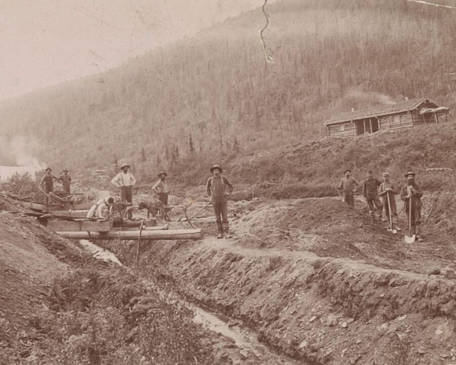 Gold Miners In California