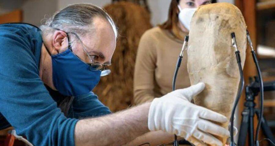 Egyptian Mummy Forgotten In A Closet Revealed As Ancient Sacred Ibis - Vimarsana News