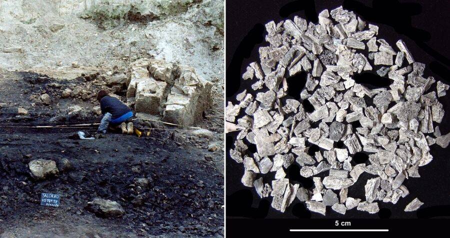 Bronze Age Funeral Pyre Where Hundreds Were Cremated Found In Italy